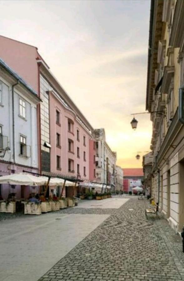 Savoya Residence Timişoara Eksteriør billede